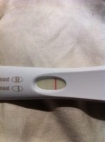 BFP 18:4.jpg