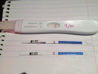 10dpo.jpg