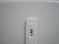 IMGP0578.jpg