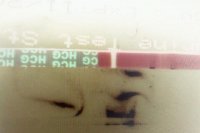IMAG0185.jpg