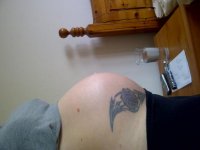 IMG-20120422-00420.jpg