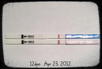 12dpo.jpg