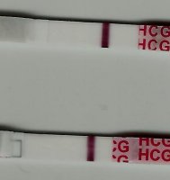 Wondfo 2 and 3  SMU 4-23-12 darkened.jpg