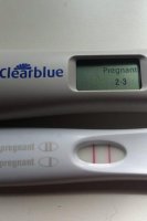 BFP 17dpo.jpg