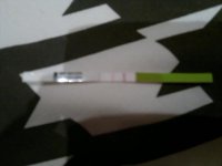 24042012297.jpg