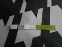 25042012307.jpg