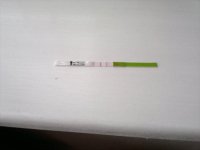 25042012310.jpg