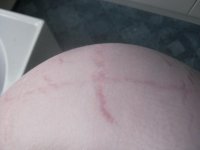 IMG_0013.jpg