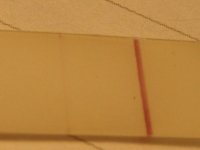 pregnancy test!!!! 002.jpg