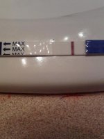 IMG_20120427_131658.jpg
