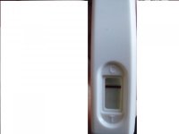 preg test.jpg
