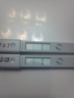 2012-05-03_09-35-39_260.jpg