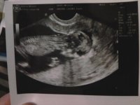 3-29-12.jpg