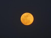 SuperMoon.jpg