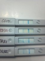 2012-05-07_07-45-17_808.jpg