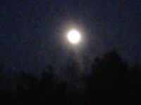IMG00405-20120505-2054.jpg