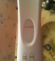 pic1bfp.jpg