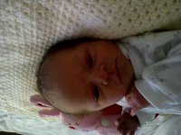 IMG-20120512-00479.jpg