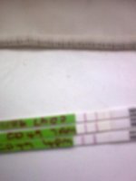 opk.jpg