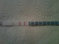 CD19 5-13 pos.jpg