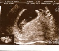scan0003.jpg