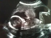 Scan2.JPG
