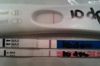 PG test 2 5-16.jpg