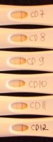 OPK 4 May 2012.jpg