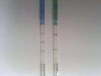 tests.CD19.jpg