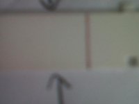 IMG-20120517-00186.jpg