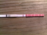 9 dpo.jpg