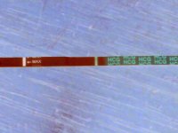 10 DPO.jpg