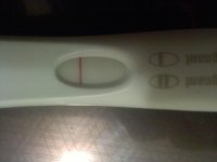 preggo2.jpg