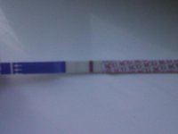 IMG00253-20120520-1659.jpg