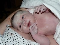 new born baby nugget (1) (800x600).jpg