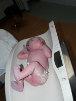 new born baby nugget (4) (600x800).jpg