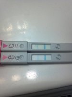2012-05-21_07-58-02_273.jpg
