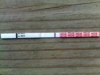 12 dpo.jpg