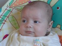 SAM_0761 .jpg