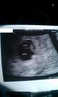scan.jpg
