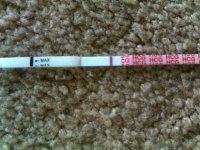 14 dpo.jpg
