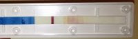 12dpo dollarama.jpg