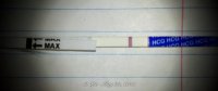 smu 12dpo.jpg