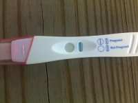 14 dpo blue 3.jpg