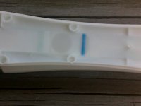 14 dpo blue.jpg