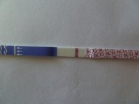 8502025e.jpg