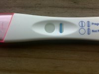 15 dpo blue.jpg