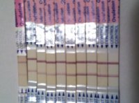 opk.jpg