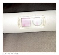 14dpo equate.jpg