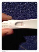 14dpo frer.jpg